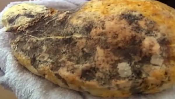 1 kg 1 crore rupees ... The world beats for ambergris .. Detailed information 