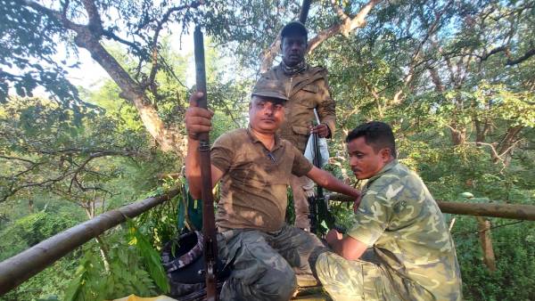 தானியங்கி கேமராக்கள் 