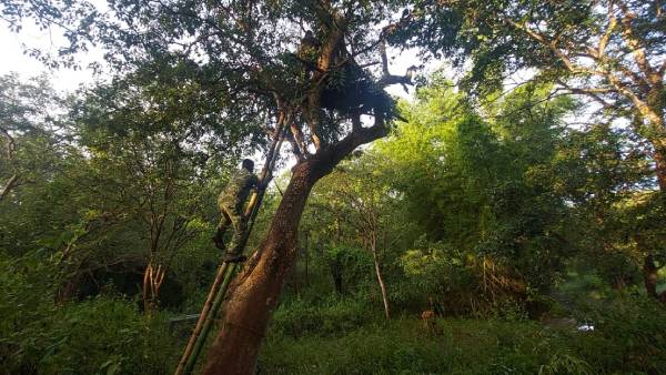 சிங்காரா வனப்பகுதி 