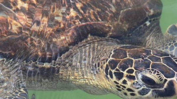  இளைஞர்களுக்கு பாதிப்பு இல்லை