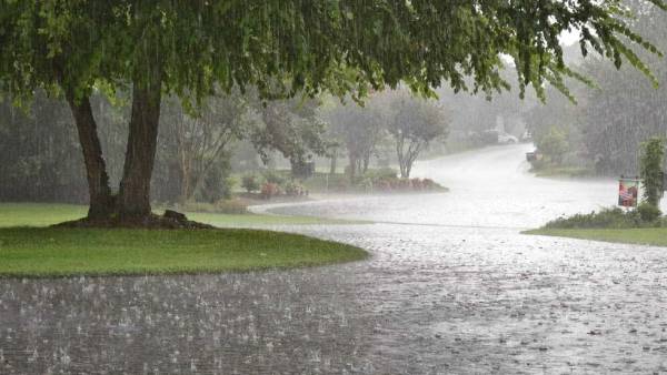 மக்கள் கோரிக்கை மக்கள் கோரிக்கை