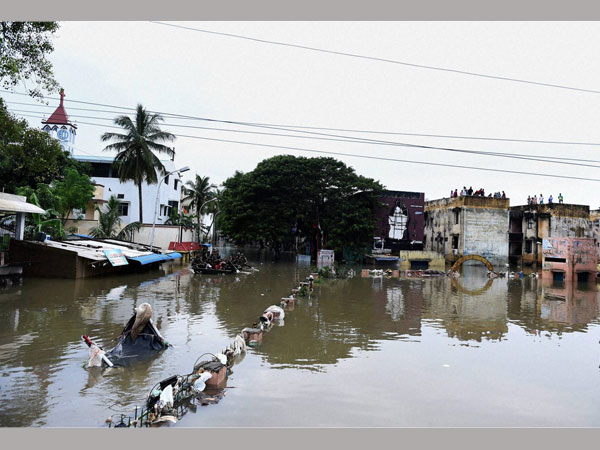 சமூகவலைதளவாசிகள் சமூகவலைதளவாசிகள்