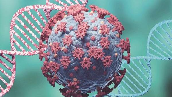 புதிய வகை வைரஸ் 