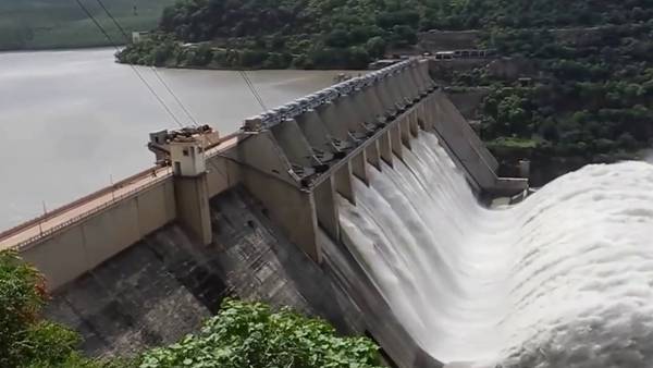 அடையாறு ஆற்றில்...