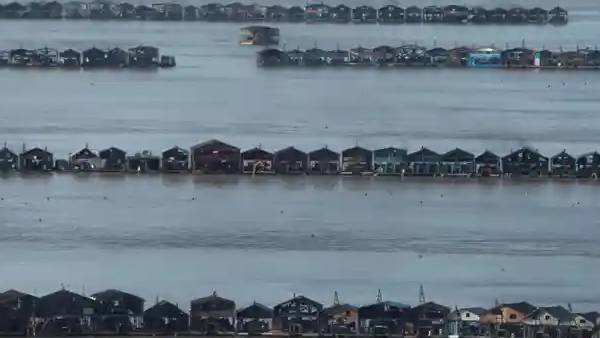 தங்க துகள்கள் 