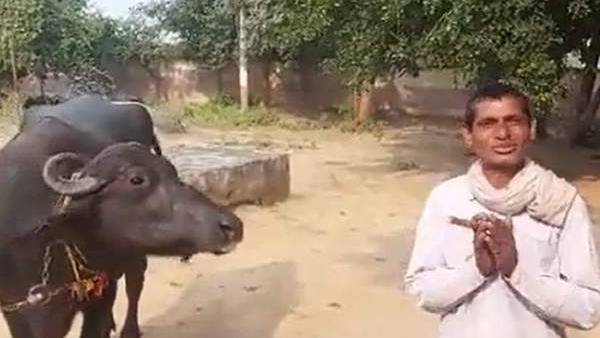 நோய் பாத்திருக்கலாம் 