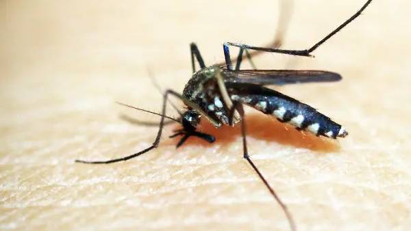 திடீர் அதிகரிப்பு