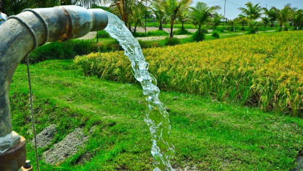 மின்சாரத் திருத்த மசோதா மின்சாரத் திருத்த மசோதா