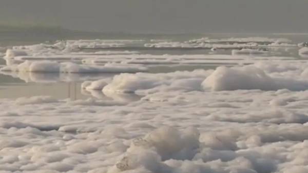  டெல்லிவாசிகள்