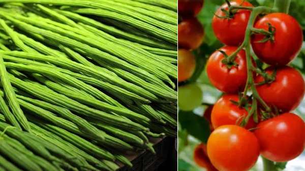 Tomoto Vegetalbles Price Today : Drumsticks competing with tomatoes cost Rs 130 per kg Tomoto Vegetalbles Price Today : Drumsticks competing with tomatoes cost Rs 130 per kg