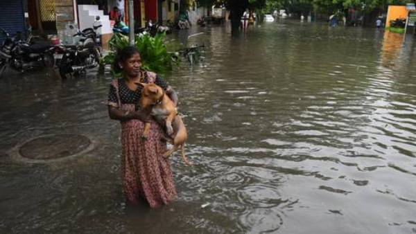 மக்கள் துயரம் 