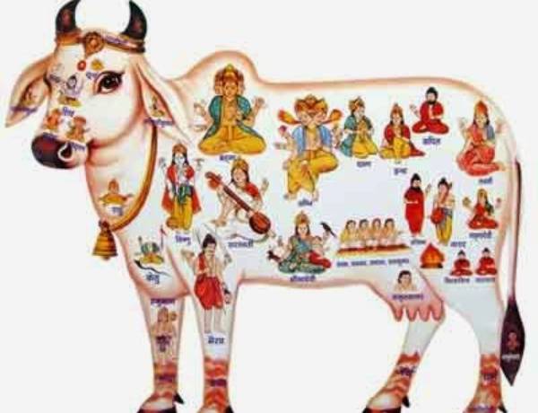 கோவத்ச துவாதசி கோவத்ச துவாதசி