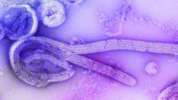 கழுவி சாப்பிடுங்கள் 