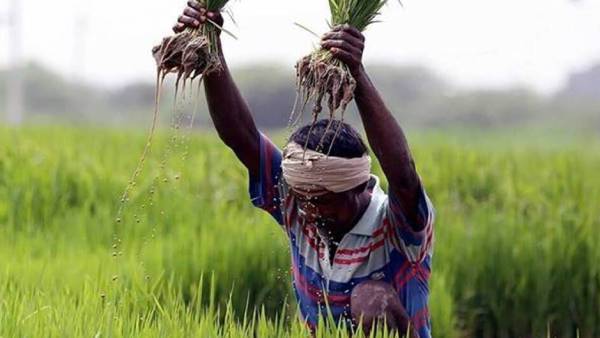  விவசாயிகள் கண்ணீர் 