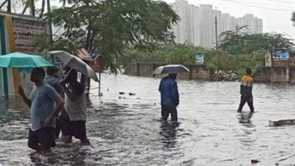 பரவலாக மழை 