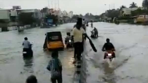 சிறப்பு அதிகாரி