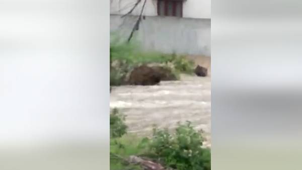 துணி துவைத்தல் 