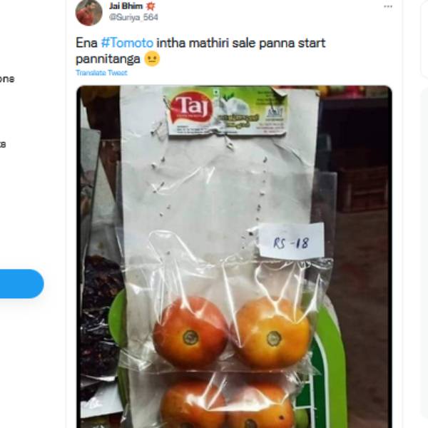 அட்டையில் தக்காளி 