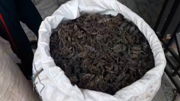  ஏ.டி.எஸ்.பி ஜெயச்சந்திரன் 