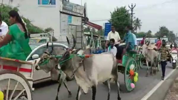  ஏழு இரட்டை மாடு வண்டிகள் 