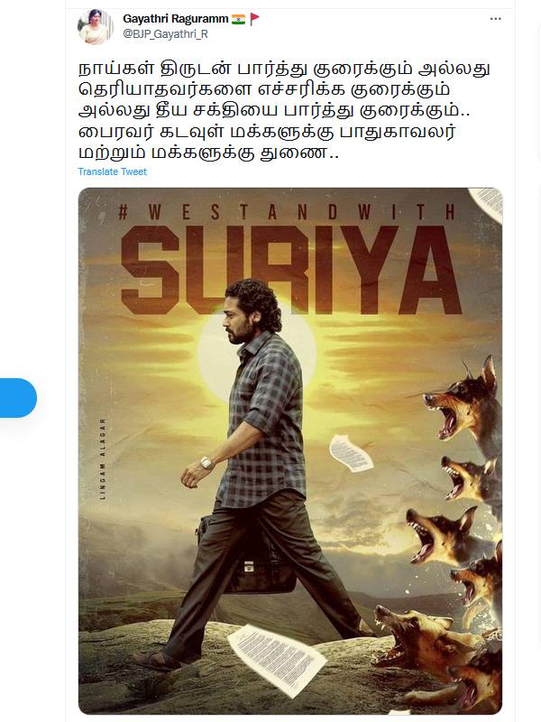 நாய்கள் நாய்கள்