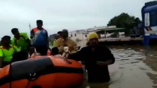 வீடுகளை சூழ்ந்த வெள்ளம் 