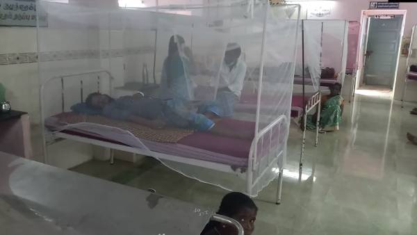 13 persons admitted in separate ward at Cuddalore district for Dengue 