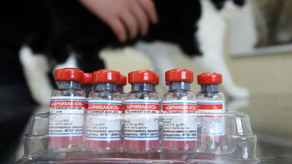 விலங்குகள் தடுப்பூசி