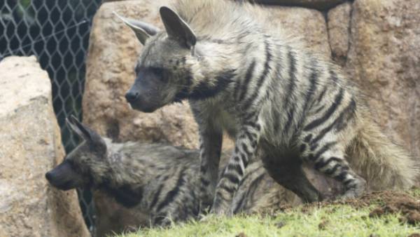 ஏன் முக்கியம்