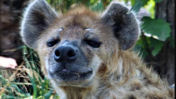 அமெரிக்கா எச்சரிக்கை