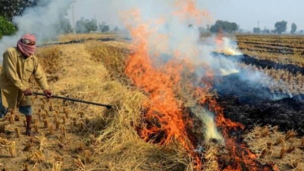 நடவடிக்கை எடுங்கள் நடவடிக்கை எடுங்கள்