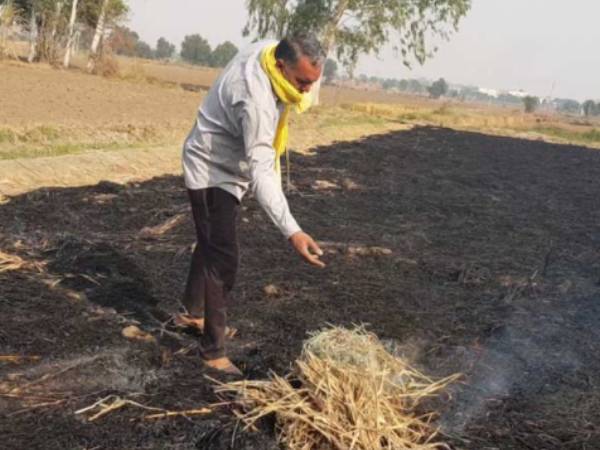 மத்திய அரசு பொய் சொல்கிறது மத்திய அரசு பொய் சொல்கிறது