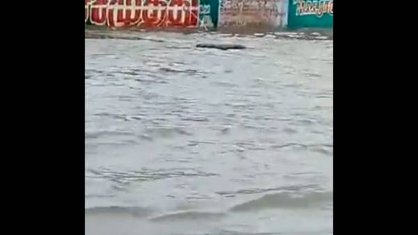 மாவட்ட ஆட்சியர் விளக்கம் மாவட்ட ஆட்சியர் விளக்கம்