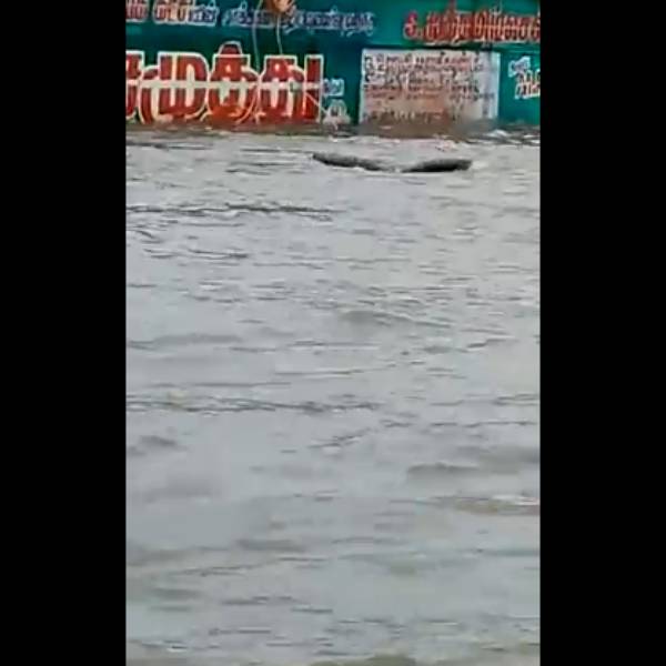 1000 மி.மீ மழை 1000 மி.மீ மழை