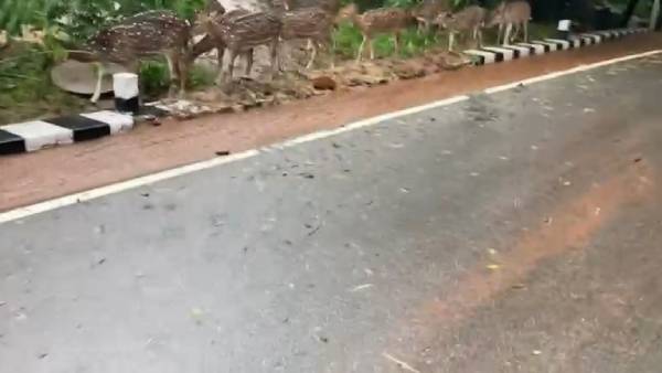 போக்குவரத்து நிறுத்தம் போக்குவரத்து நிறுத்தம்