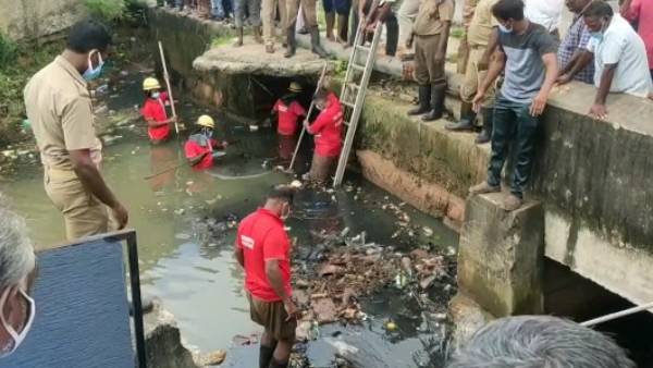 வடகிழக்கு பருவமழை வடகிழக்கு பருவமழை