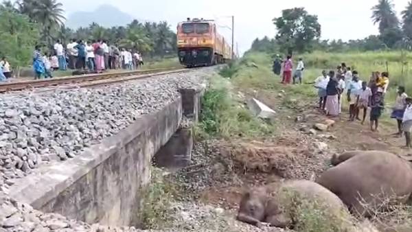 கோவை வனச்சரகம் 