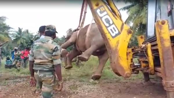 கண்காணிப்பு கோபுரம் வேண்டும் 