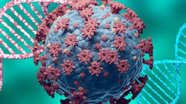 மாடனா நிறுவனம் 