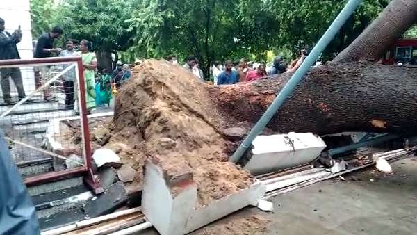 போக்குவரத்து பிரிவு தலைமைக் காவலர் 