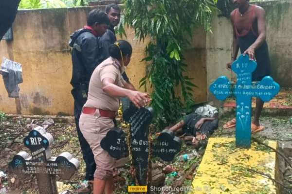 மரங்கள் விழுந்தன மரங்கள் விழுந்தன