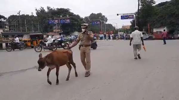 வைரல் வீடியோ 