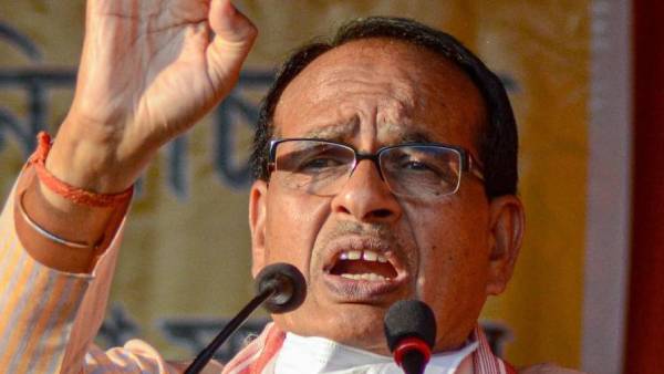 சாணம் உரம் 