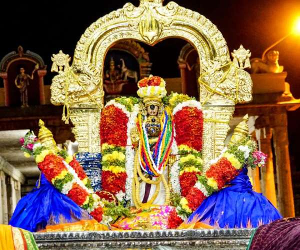 Srirangam Oonjal Utsavam namperumal nel alavai 