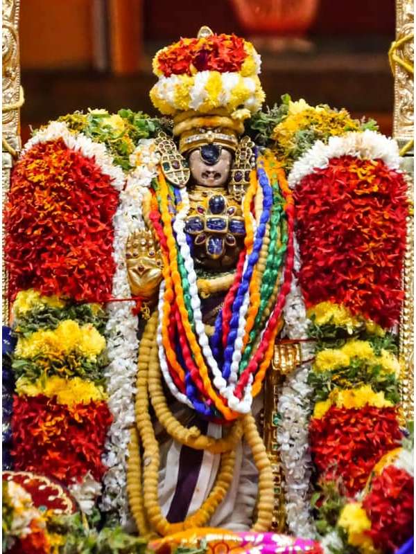 Srirangam Oonjal Utsavam namperumal nel alavai 