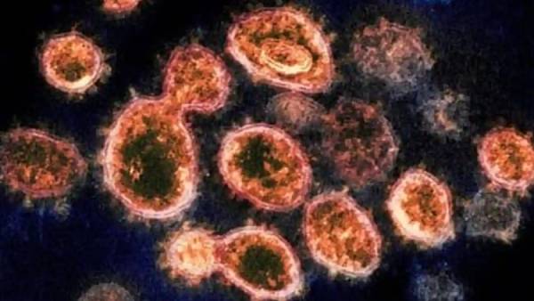 இந்தியா உஷார் நிலை 