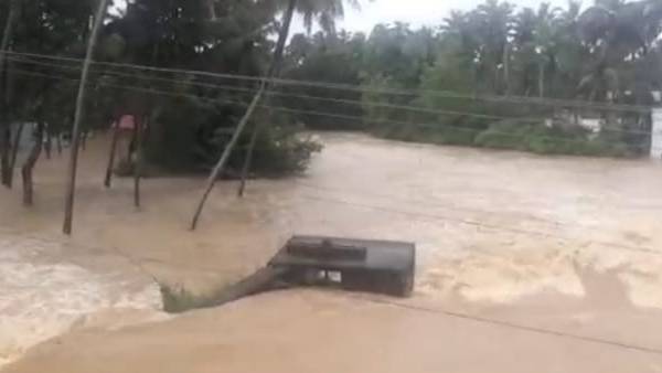 ரப்பர் தோட்டம் 