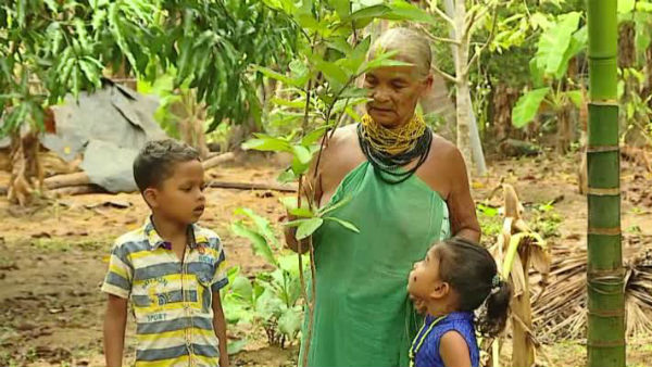  தாவரங்கள்