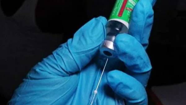 உலக சுகாதார அமைப்பு உலக சுகாதார அமைப்பு