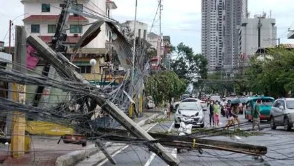  விவசாய பயிர்கள்